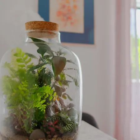 Art Seasoul Lägenhet Zaton (Dubrovnik-Neretva)