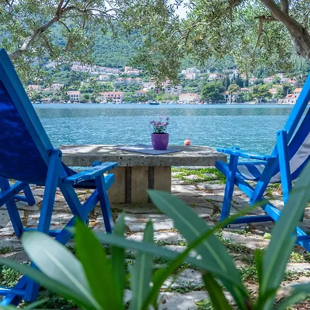 Art Seasoul Apartment Zaton (Dubrovnik-Neretva)