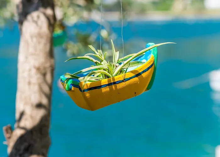 Art Seasoul زاتون