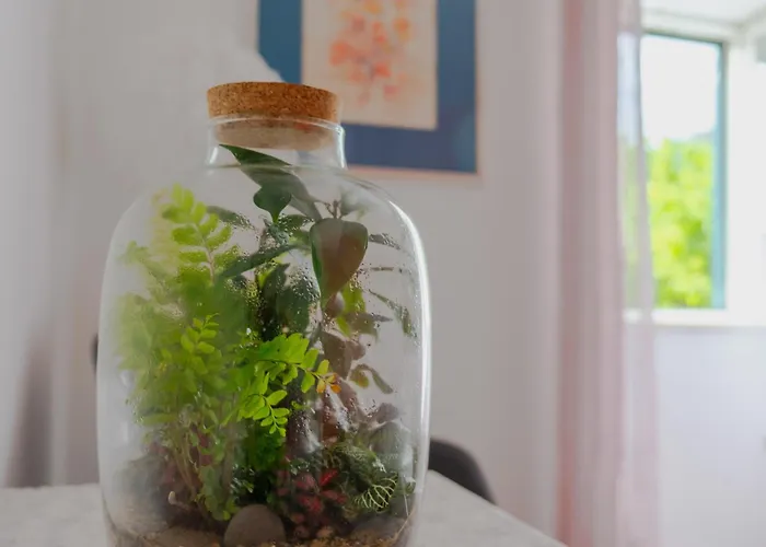 Art Seasoul شقة زاتون